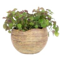 Übertopf "Pflanzkugel"