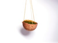 Übertopf "Pflanzkugel"