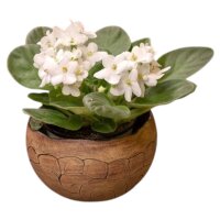 Übertopf "Pflanzkugel" Schnecke (13,50 cm)