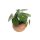 Übertopf "Pflanzkugel" Schnecke (13,50 cm)