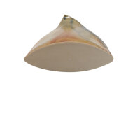 Vase "Bischofsmütze" grün