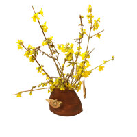 Vase "Bischofsmütze" natur