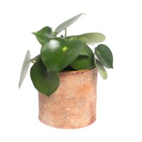 Übertopf floral