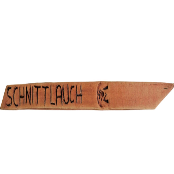 Kräuterstecker Schnittlauch
