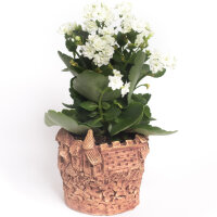 Übertopf Oskar gerade Form Ø  innen 11,00 cm...