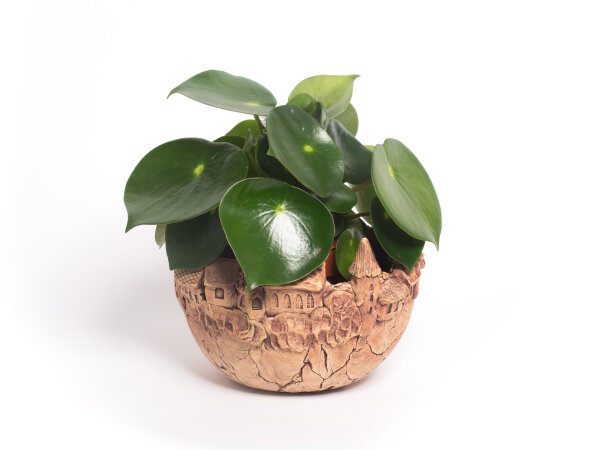 Übertopf "Oskartopf" (19.00 cm) Kugelform