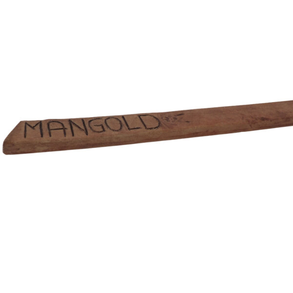 Kräuterstecker Mangold