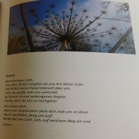 Andachtsbuch Immer wieder freitags