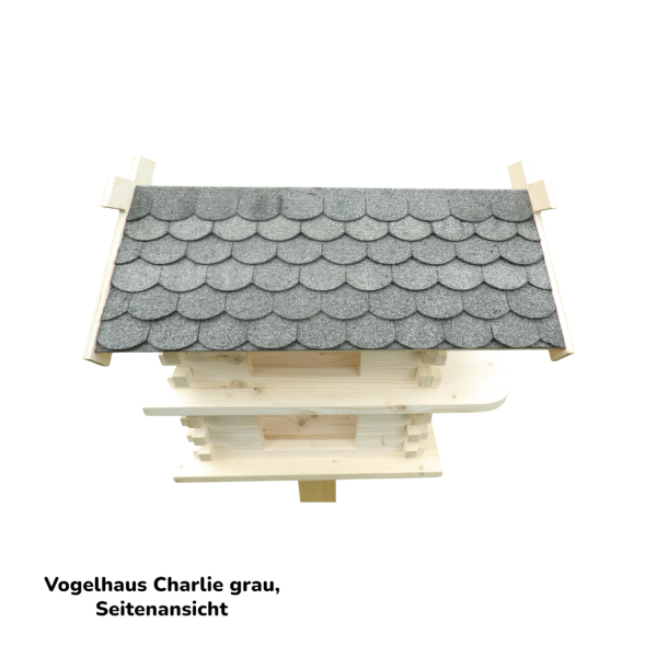 Vogelhaus Charlie