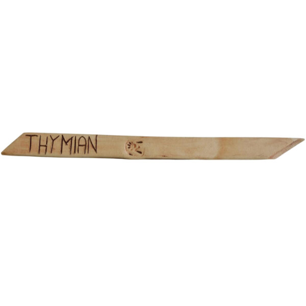 Thymian