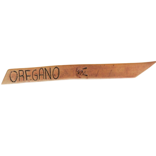 Oregano